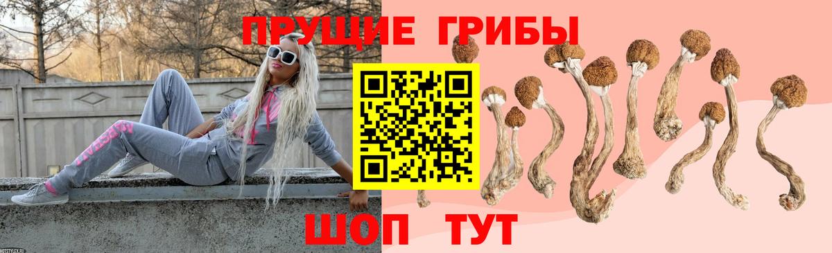 Псилоцибиновые грибы прущие грибы Дедовск